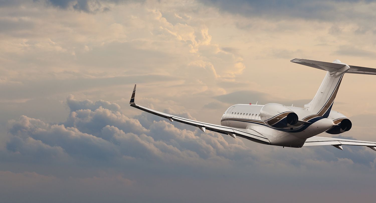 A private jet for your pets? Over 250 pets have died on airlines since 2010